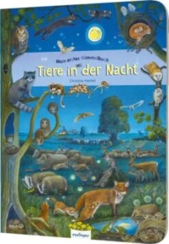 Mein Erstes Wimmelbuch: Tiere In Der Nacht