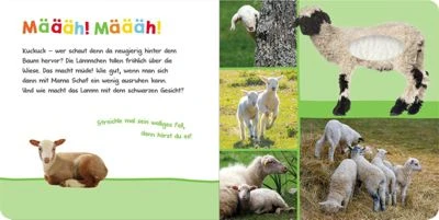 ArsEdition Verlag Hör Mal Rein, Wer Kann Das Sein? - Im Frühling – Bild 3