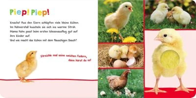 ArsEdition Verlag Hör Mal Rein, Wer Kann Das Sein? - Im Frühling – Bild 4