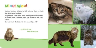 ArsEdition Verlag Hör Mal Rein, Wer Kann Das Sein? - Kuschelige Tiere – Bild 4