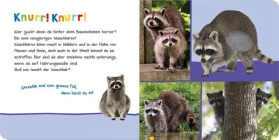 ArsEdition Verlag Hör Mal Rein, Wer Kann Das Sein? - Kuschelige Tiere – Bild 6