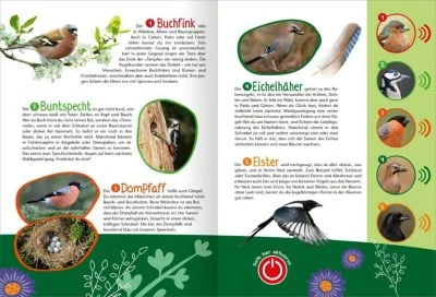 Mein Großes Soundbuch Vögel – Bild 3