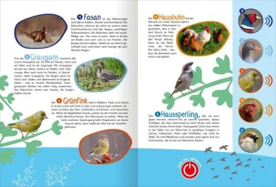 Mein Großes Soundbuch Vögel – Bild 4