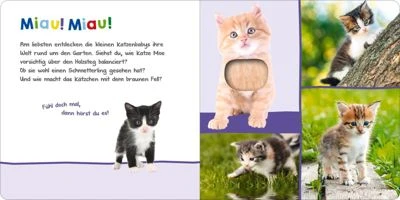 ArsEdition Verlag Hör Mal Rein, Wer Kann Das Sein? - Tierkinder Im Frühling – Bild 3