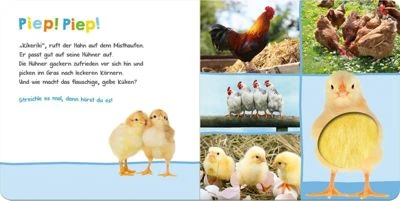 ArsEdition Verlag Hör Mal Rein, Wer Kann Das Sein?: Bauernhoftiere, Soundbuch Mit Tiergeräuschen – Bild 2