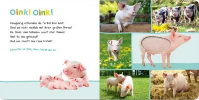 ArsEdition Verlag Hör Mal Rein, Wer Kann Das Sein?: Bauernhoftiere, Soundbuch Mit Tiergeräuschen – Bild 3