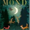 Mond - Eine Reise Durch Die Nacht